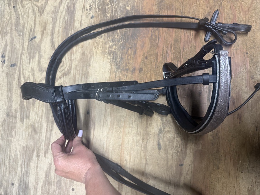 Cob bridle with statement noseband