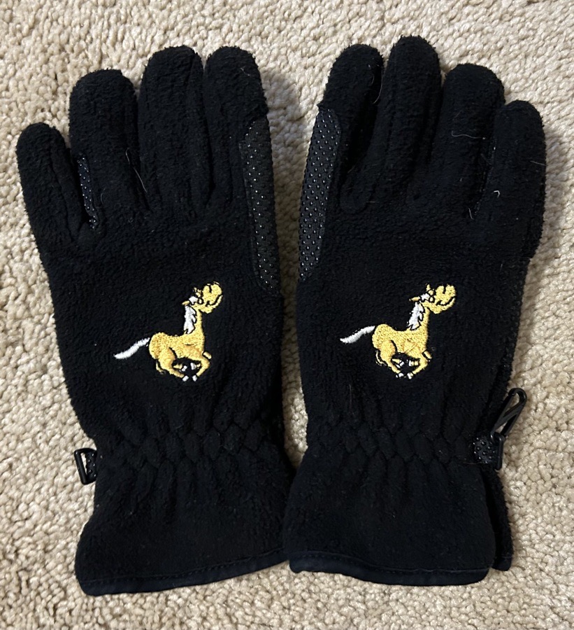 Black Riding Gloves