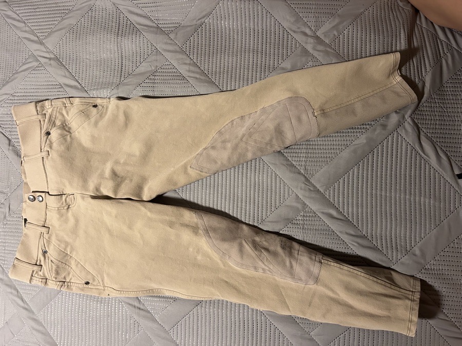 Tan Artist riding breeches