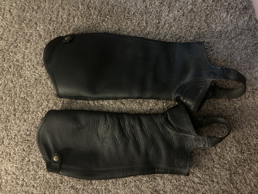 Ariat Concord Half Chaps