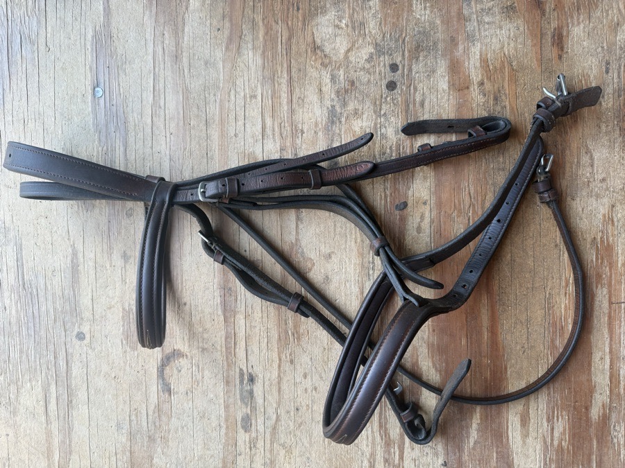 Cob fancy stitch bridle