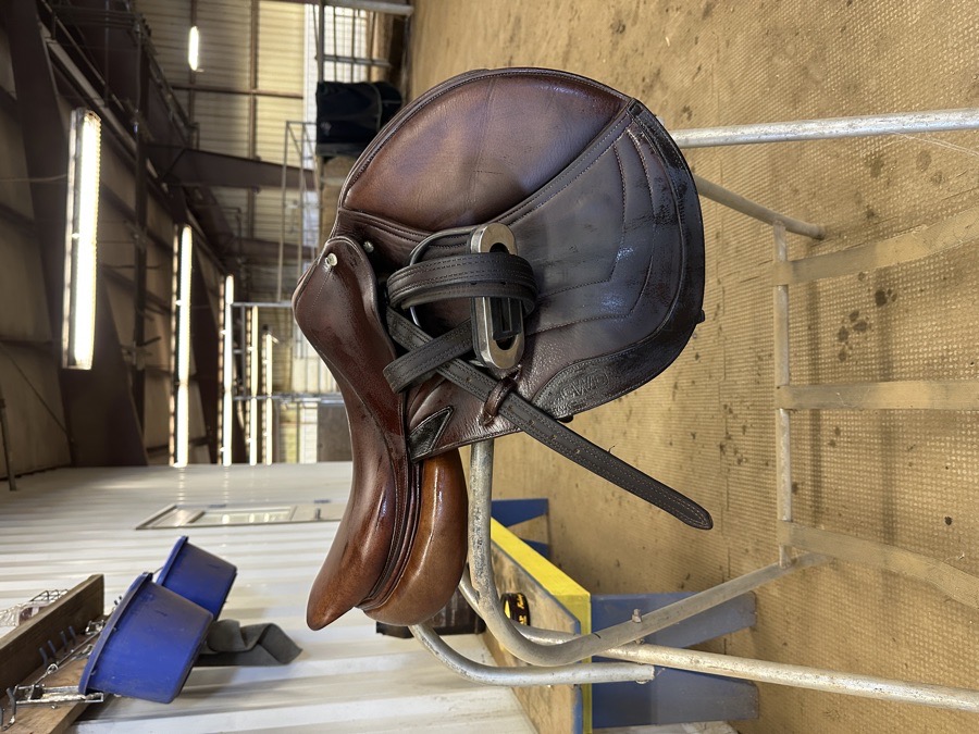 CWD jump saddle