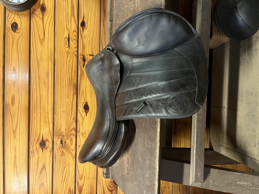 Forestier Seoul Jump Saddle