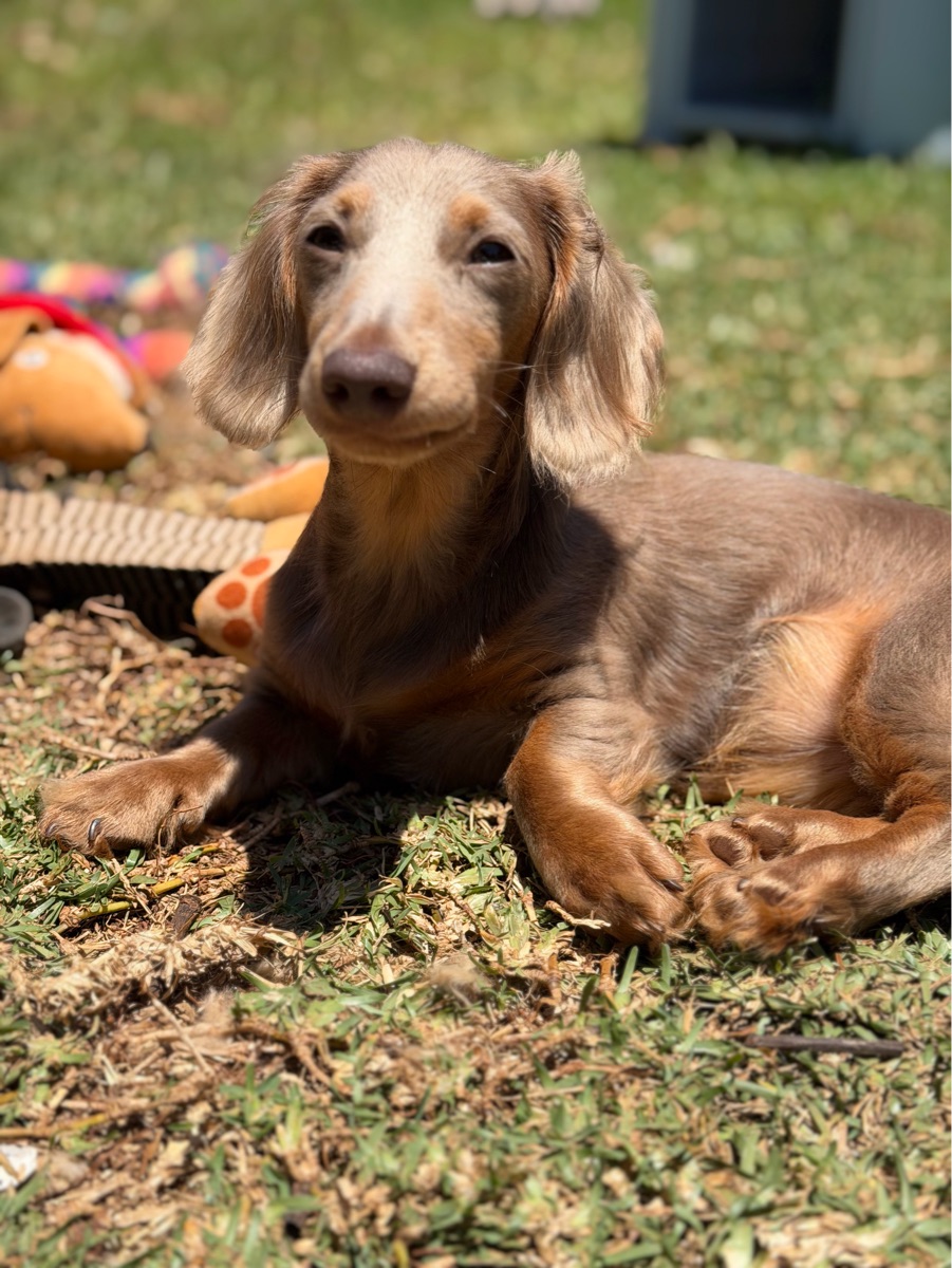 Bonnie