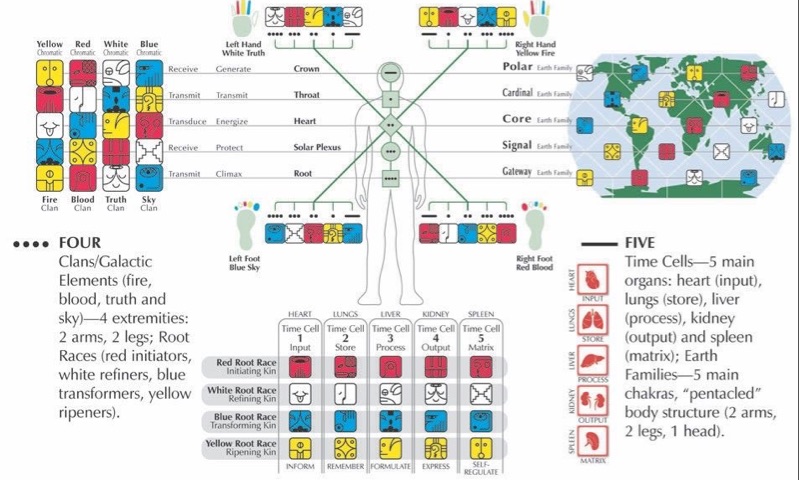 十三月亮曆個人解析