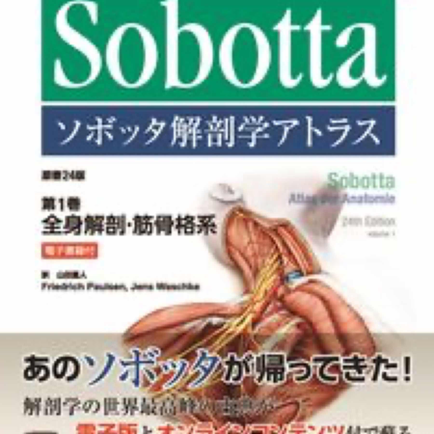 ソボッタ解剖学アトラス  原書24版 第1巻 全身解剖・筋骨格系
