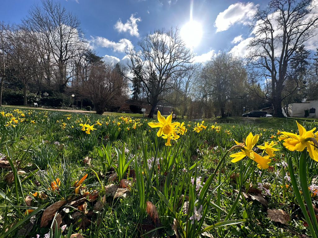 Glacis Park in Neu-Ulm