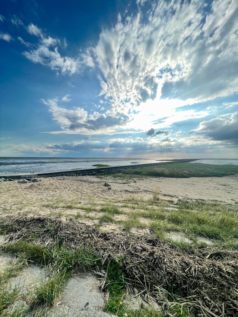 Schlafhängematten mit Meerblick