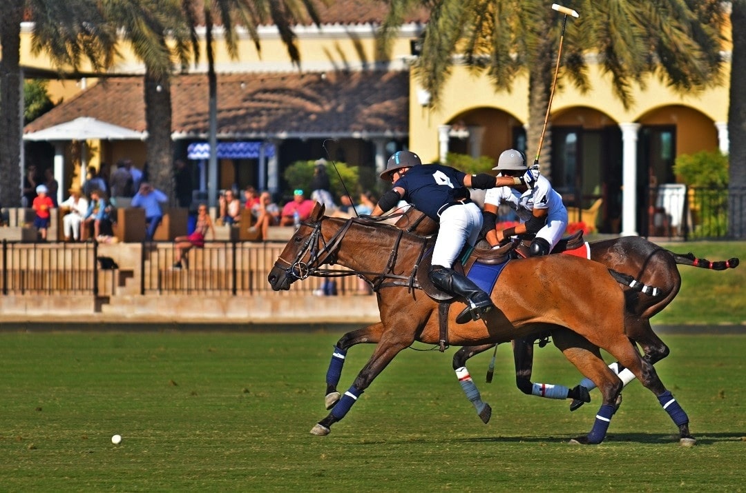Dubai Polo & Equestrian Club