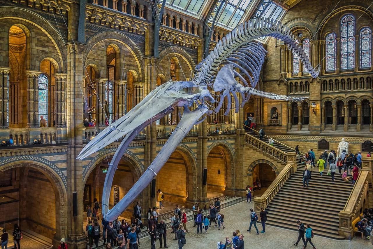Natural History Museum