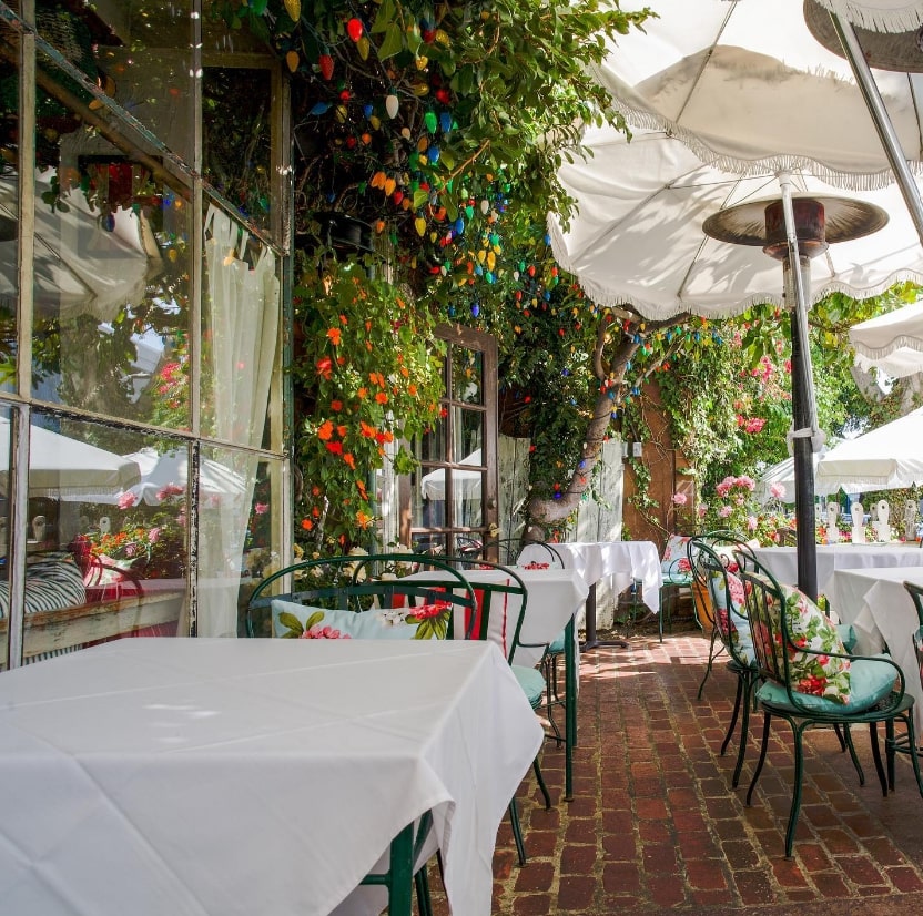 The Ivy