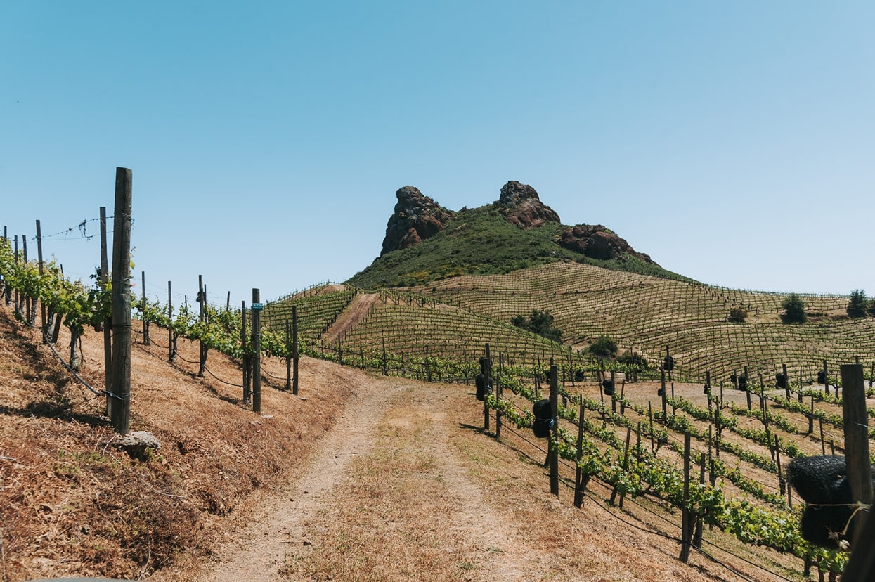 Malibu Wine Safaris