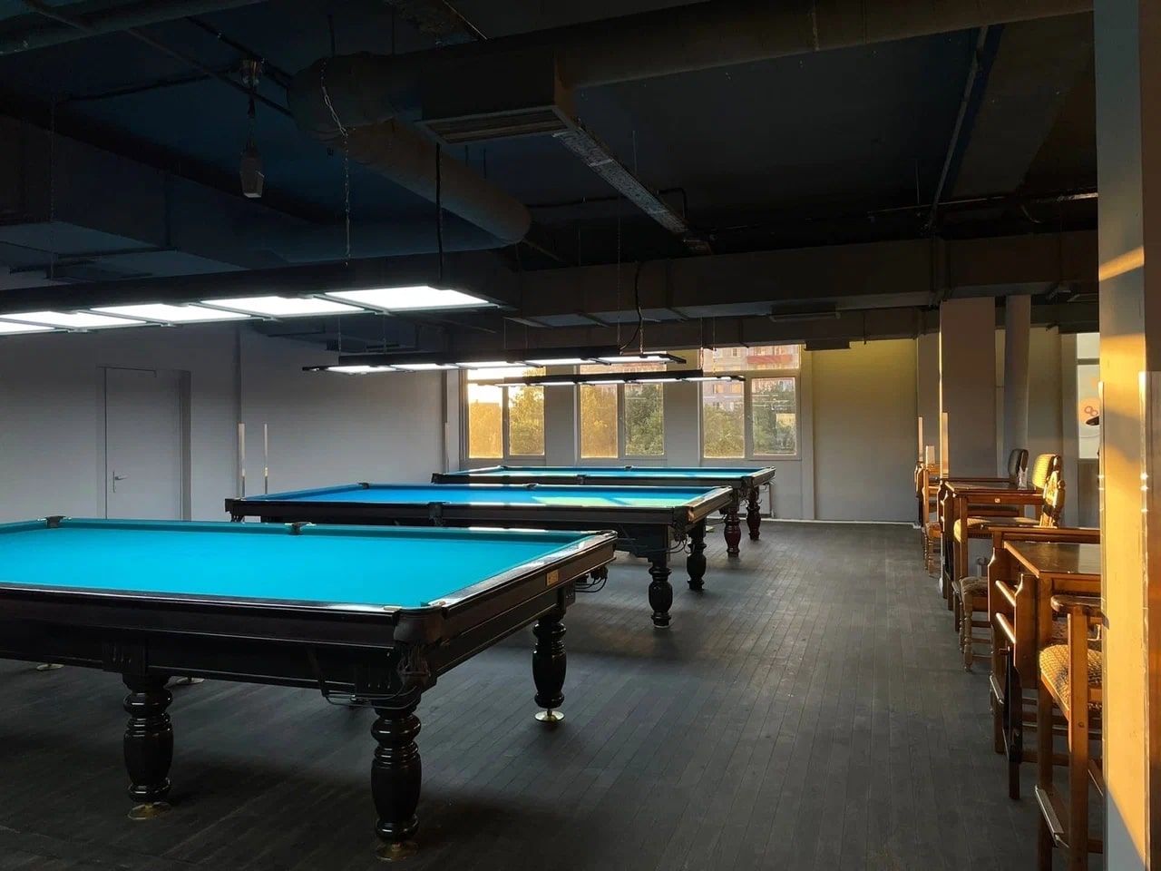 Меткий Гусь