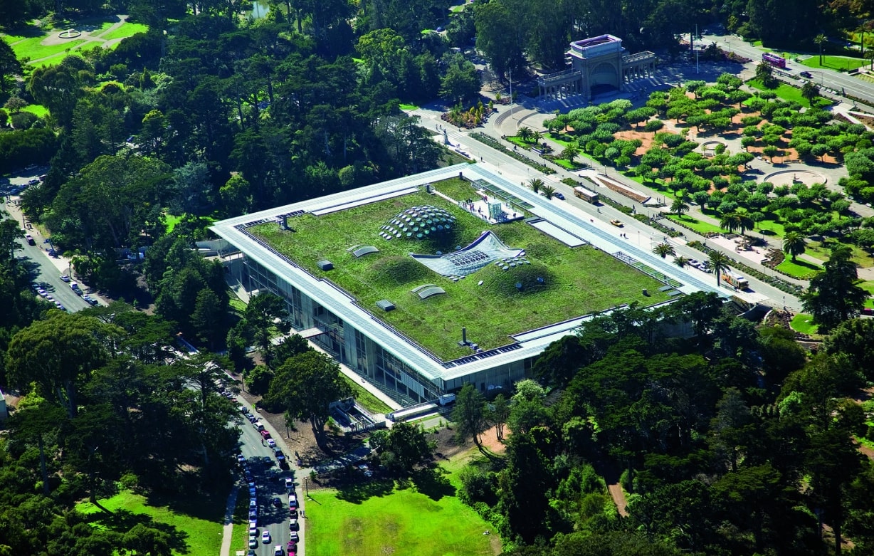 California Academy of Sciences