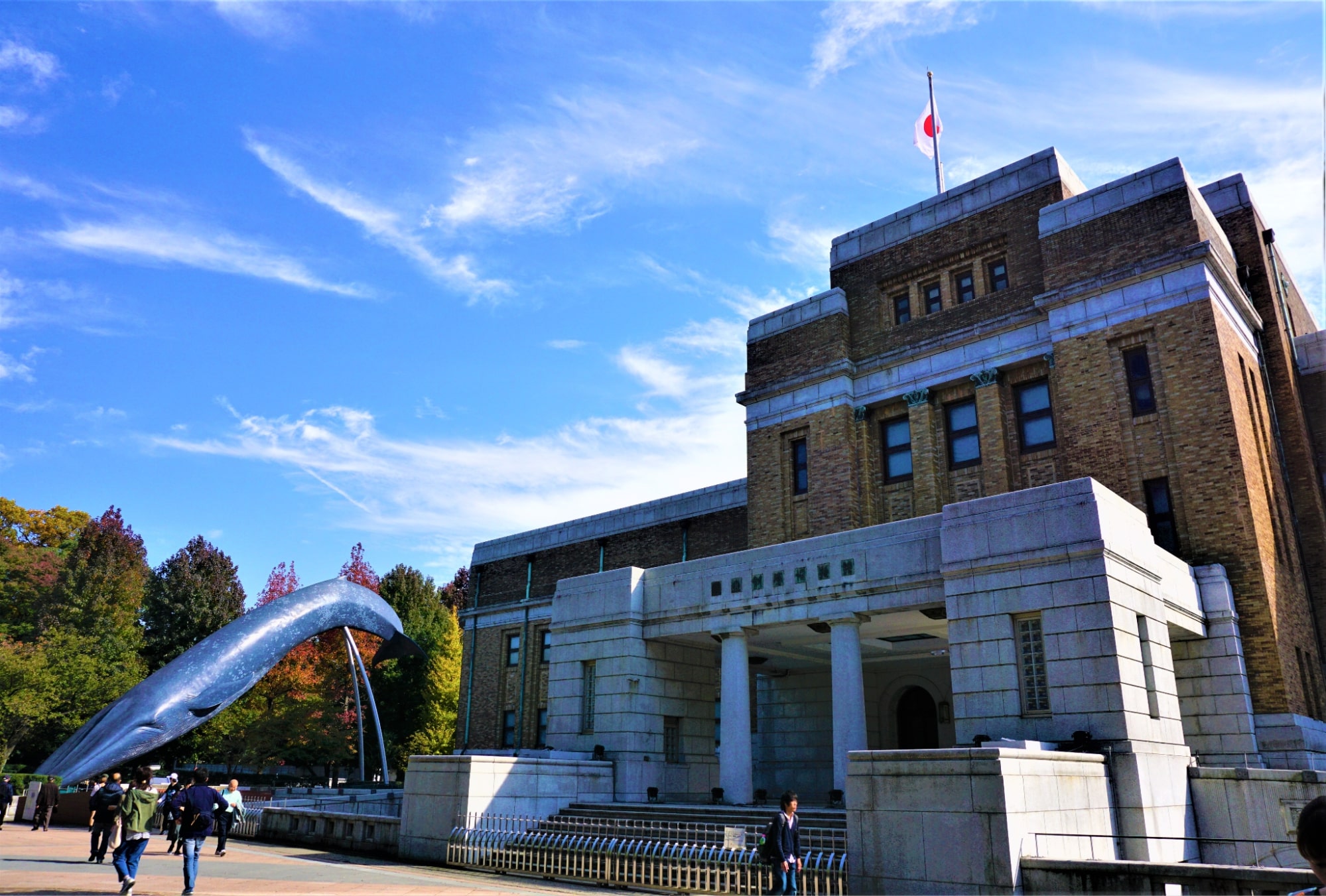 National Museum of Nature and Science