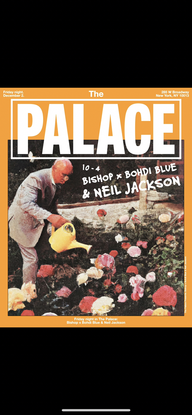 image party flyer