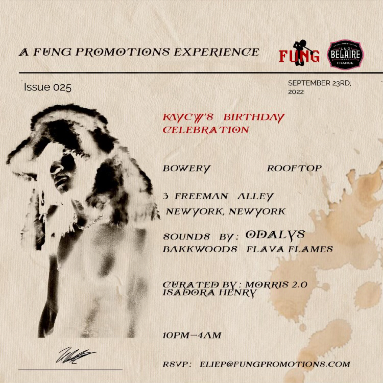 image party flyer