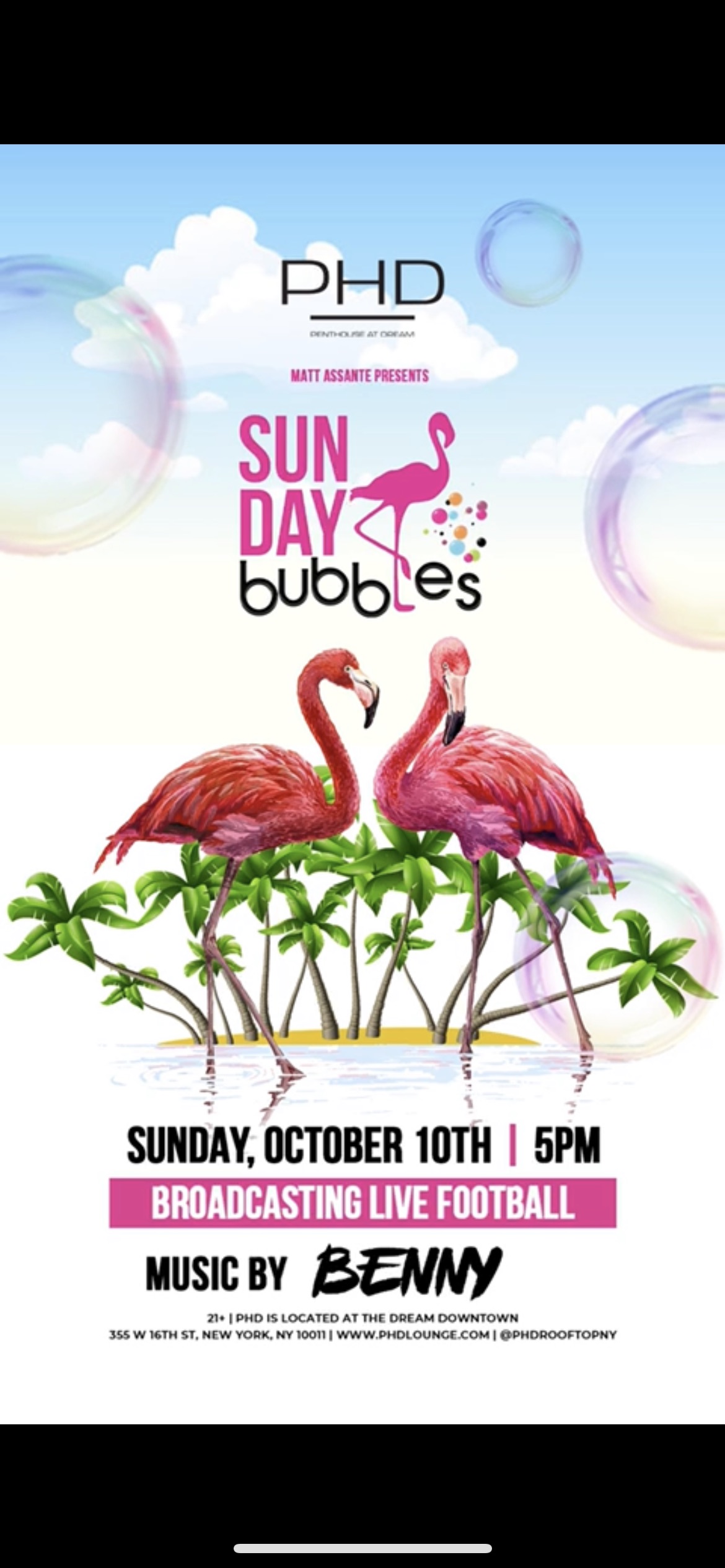 image party flyer