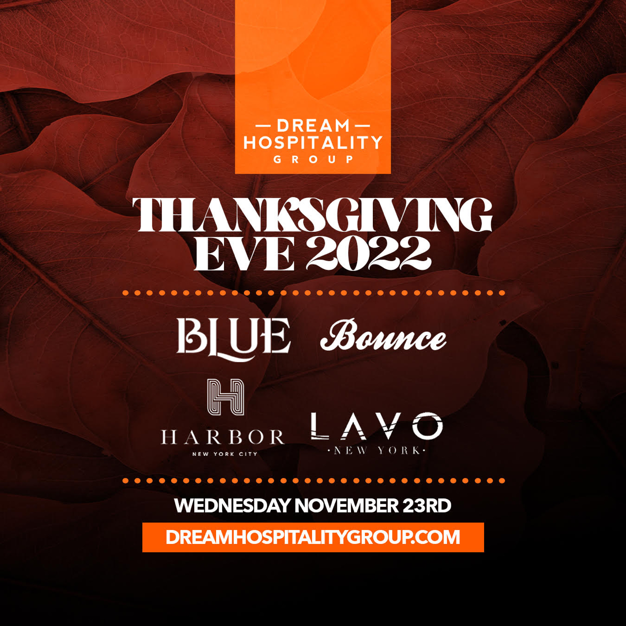 image party flyer