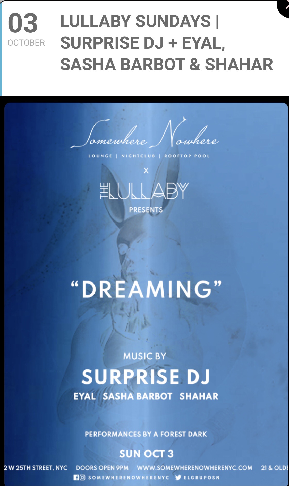 image party flyer