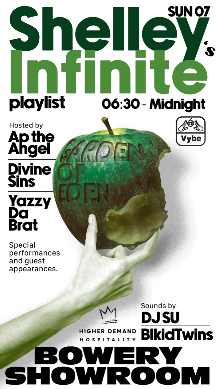 image party flyer