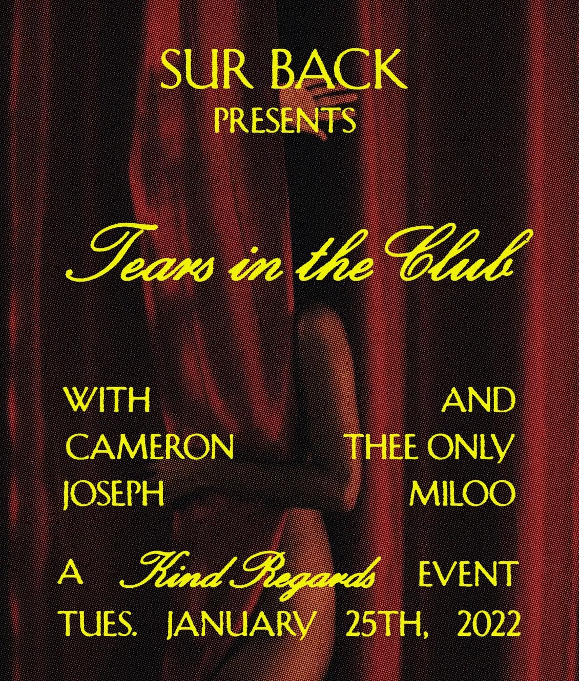 image party flyer
