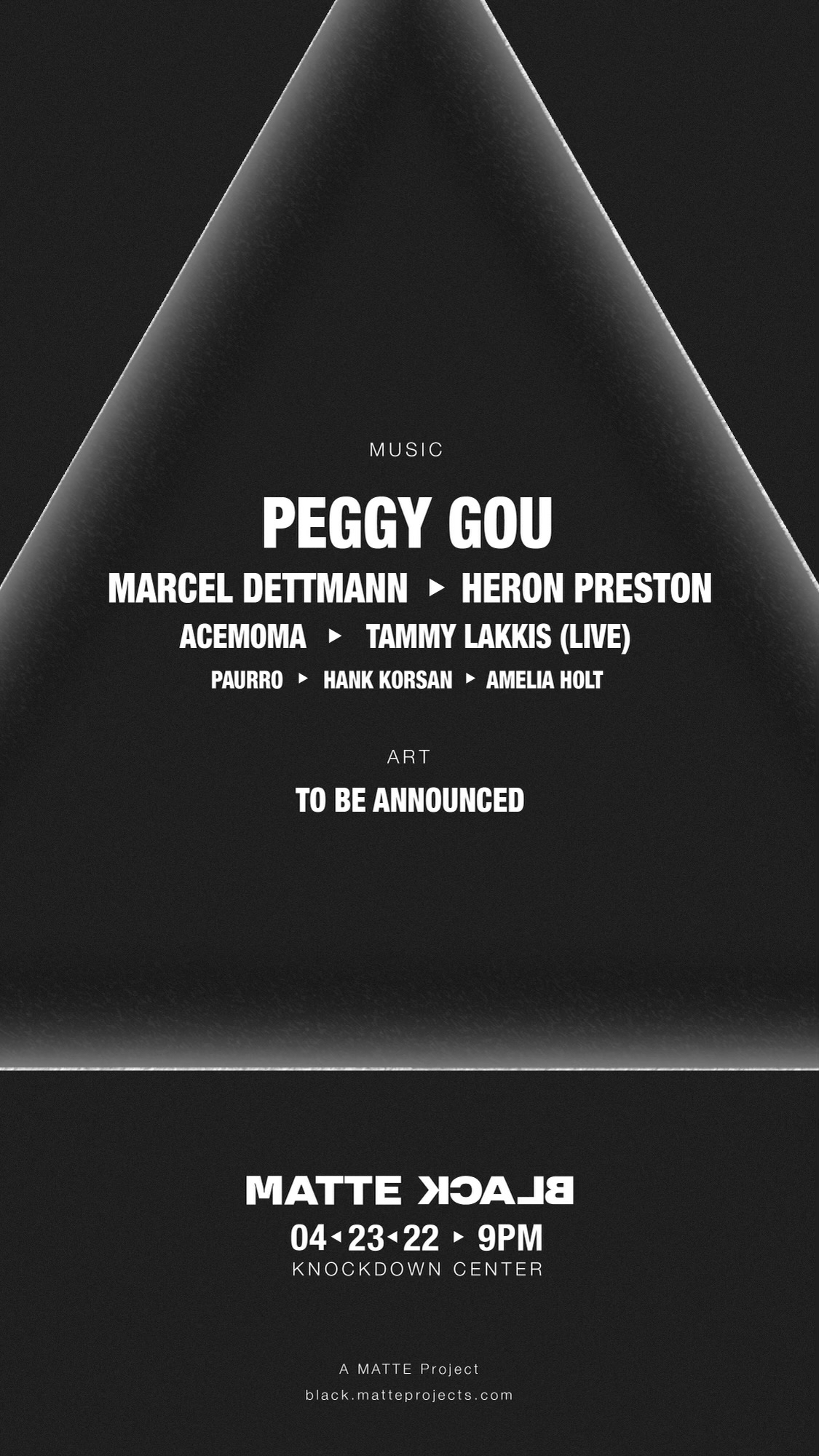 image party flyer