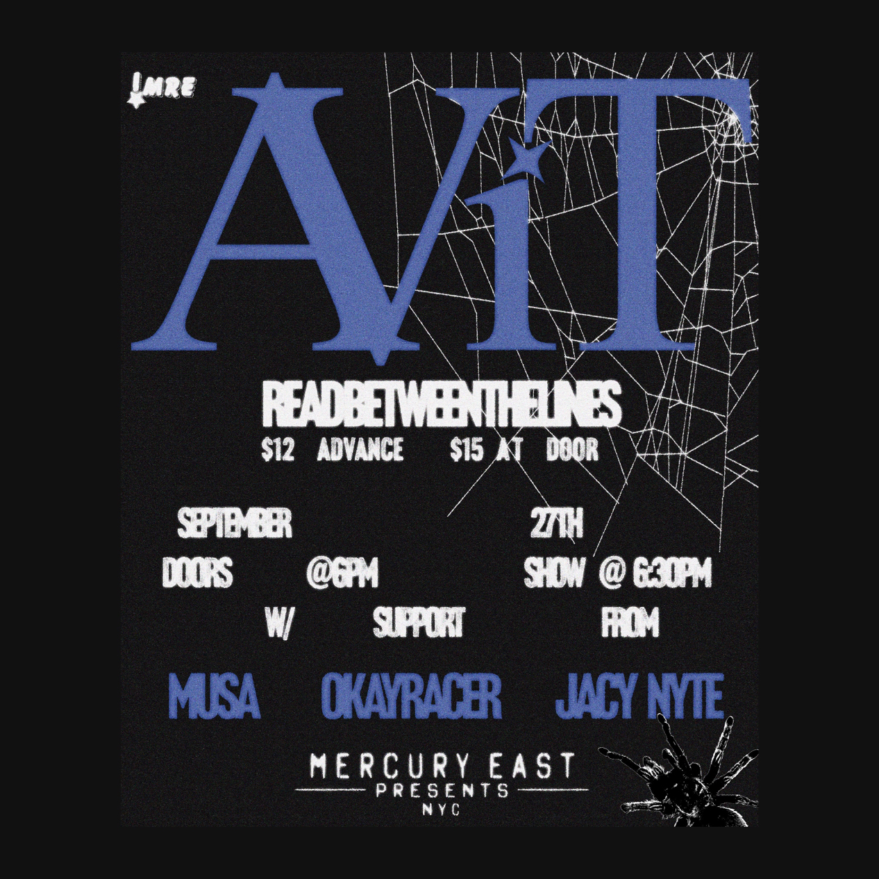 image party flyer