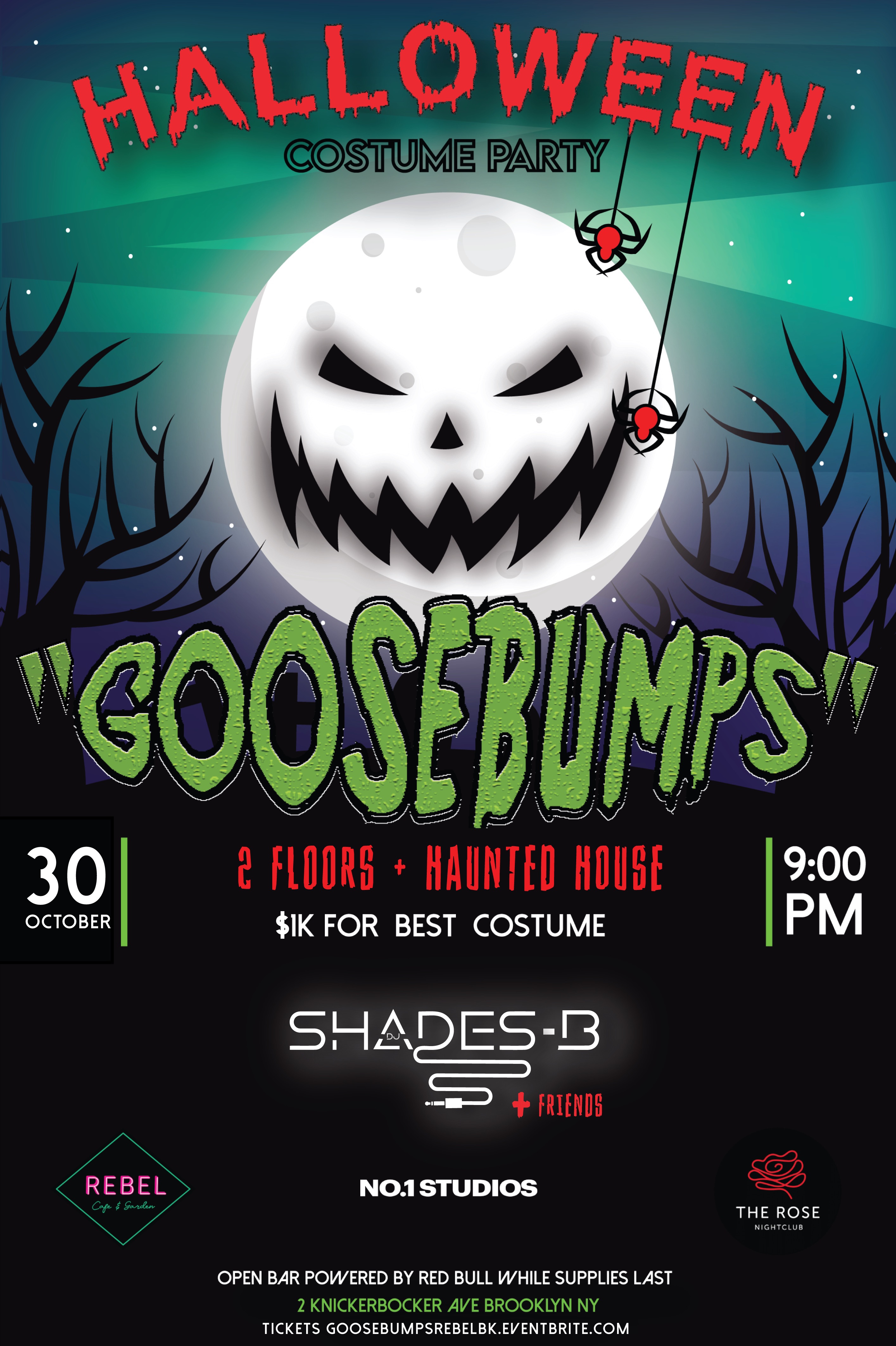 image party flyer