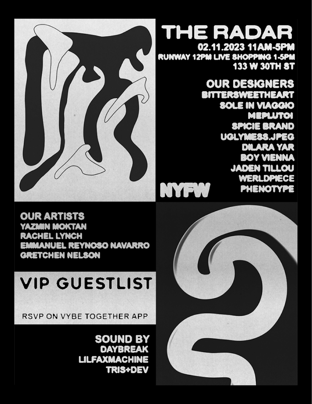image party flyer