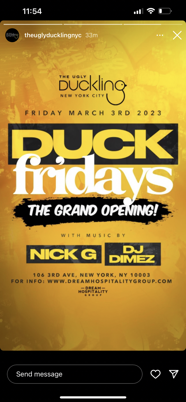 image party flyer