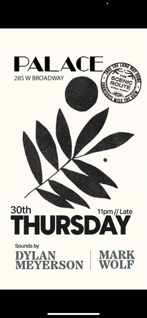 image party flyer