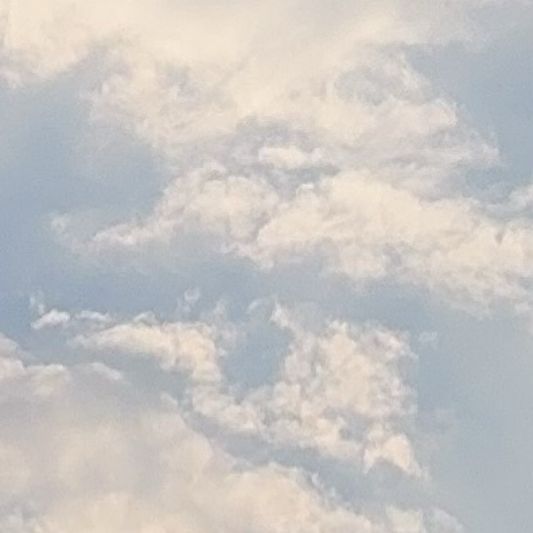 ( ¨̮ )
