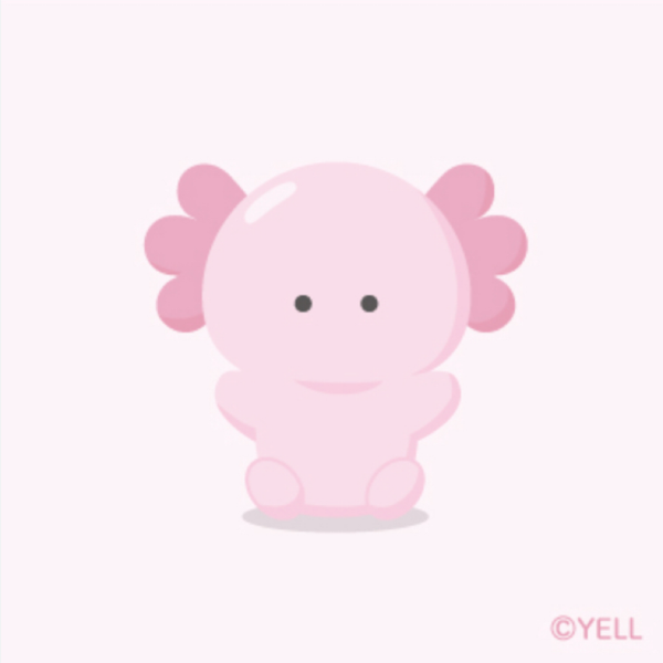 こっちゃん(#´ᗜ`#)ﾆｺﾆｺ