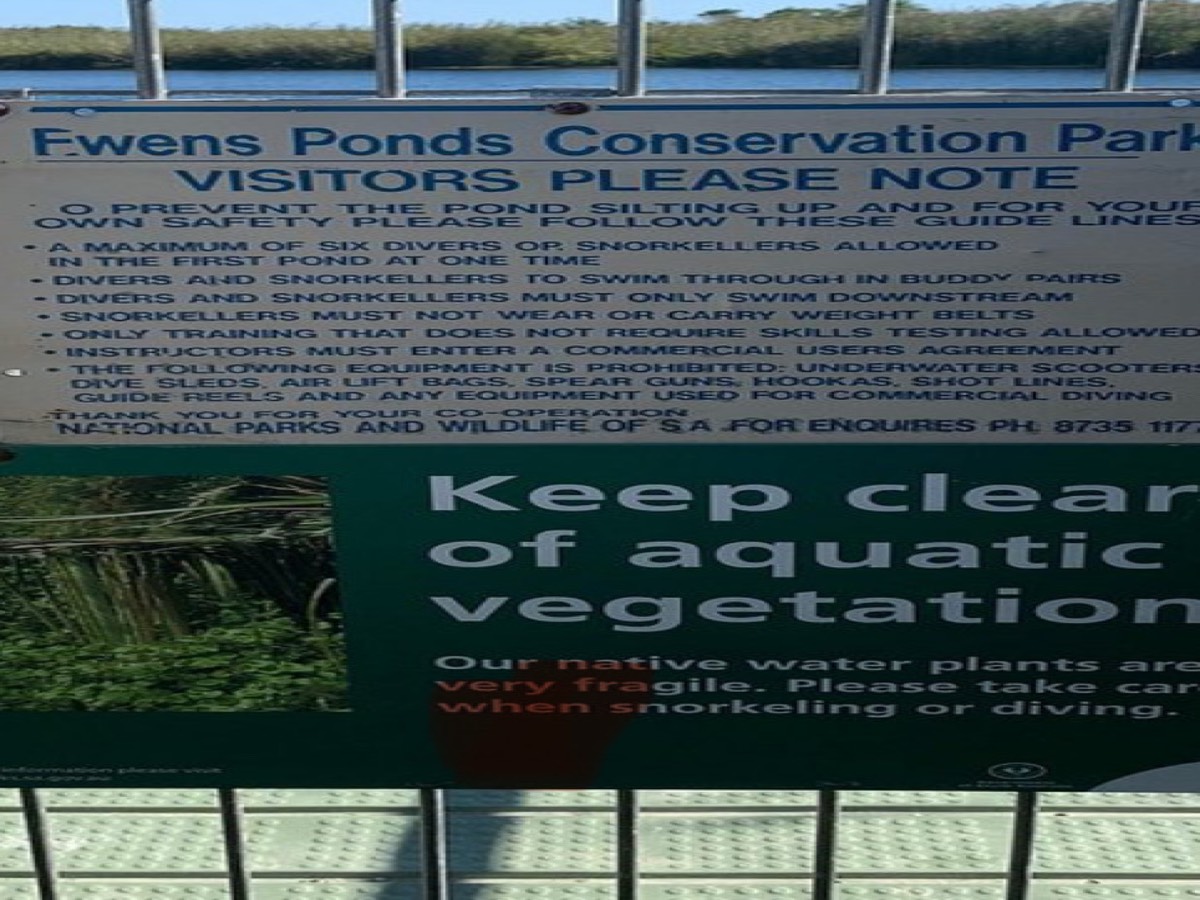 Ewens Pond
