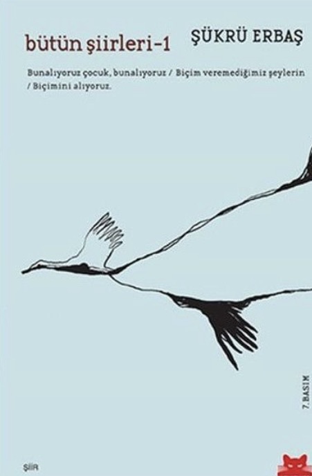 Bütün şiirleri 1 – Merve Öz kitap kapağı