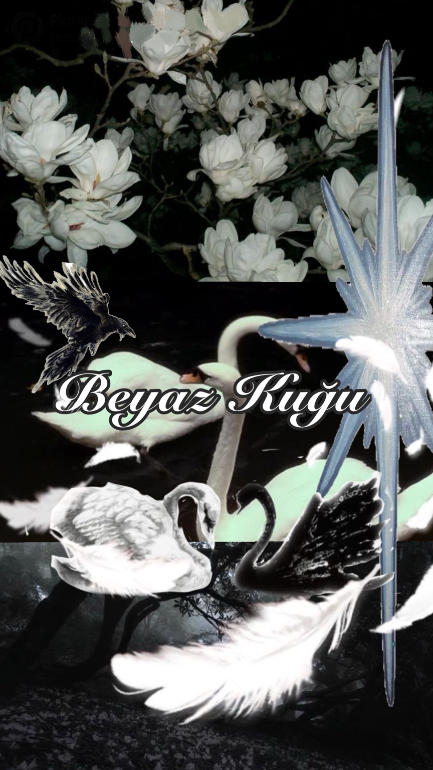 Beyaz Kuğu – Imjustelowen kitap kapağı