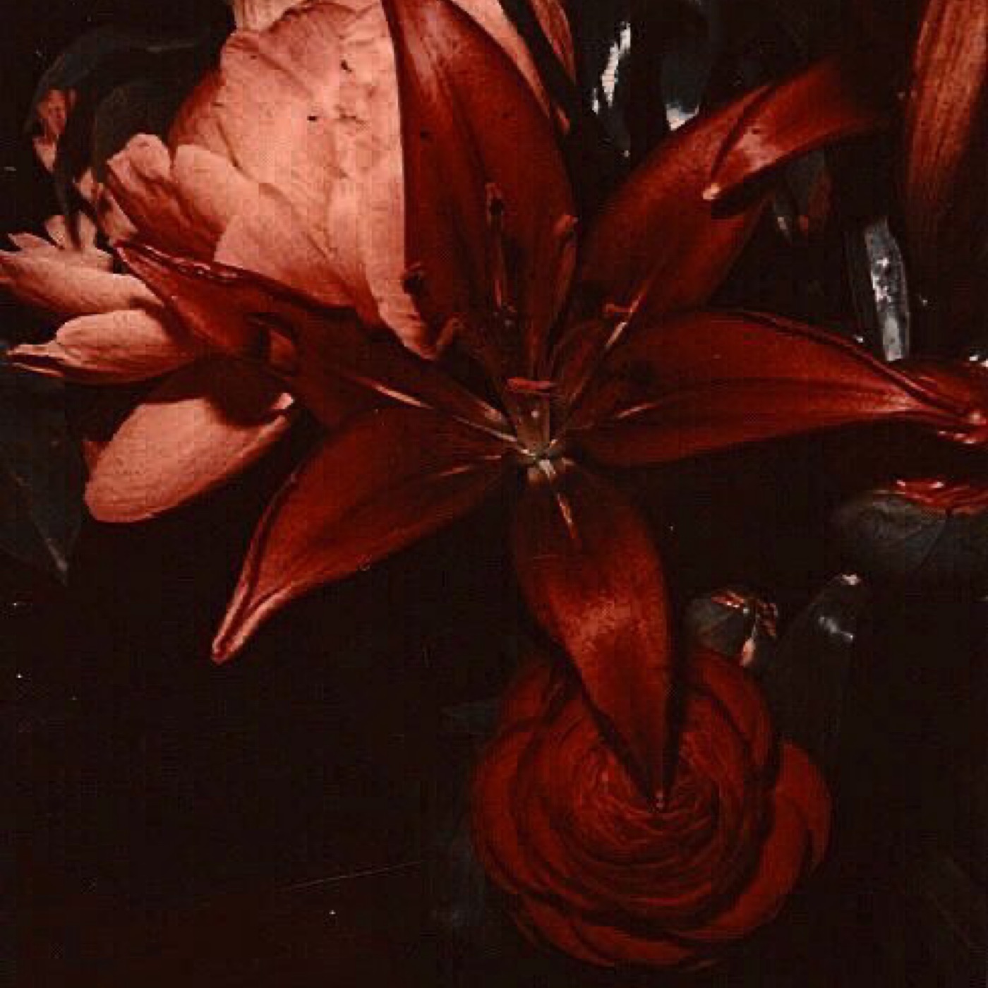 Imjustelowen WritePad yazar profil görseli